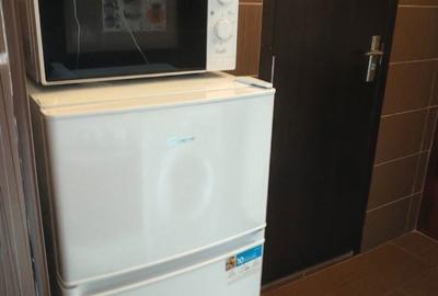 Garsonieră semidecomandată în Astra - 12