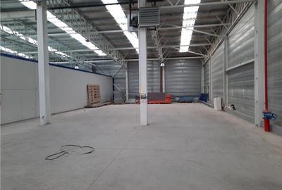 Spatiu Industrial - 5300 mp - Productie - Depozitare - Logistica - Distributie - 19