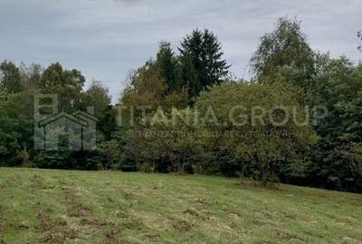 Teren intravilan, cu PUZ, Bran Tohanita, pârâu, pădure și priveliște de vis Teren intravilan, cu PUZ, Bran Tohanita, pârâu, pădure și priveliște de vis - 2