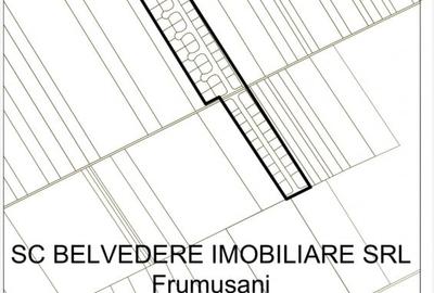 Teren Construcții intravilan de 45602 mp, în Frumușani - 9