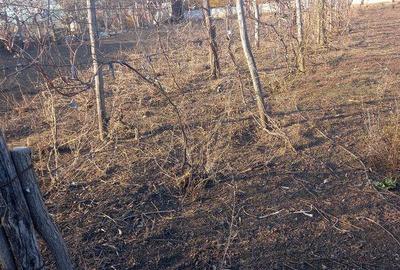 Teren de 1000 mp, în Brănești