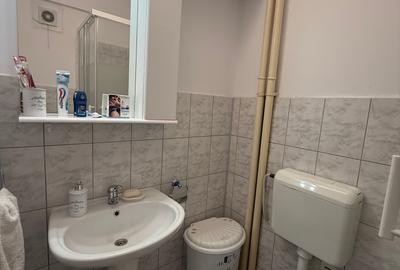 Apartament cu 2 camere decomandat, mobilat în Ultracentral - 19