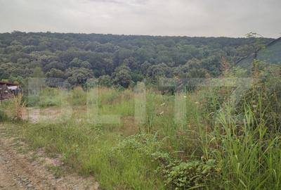 Teren 2350 mp langa padure ,zona Leamna de Jos - 1