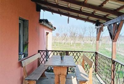 Casă cu 5 camere cu Teren 541 Mp în Felnac