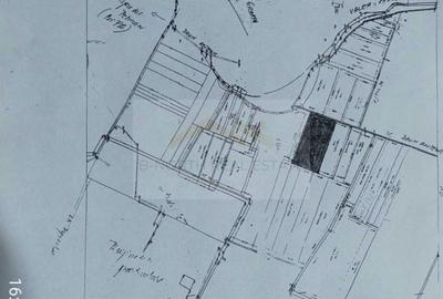 Spațiu comercial, în Central - 2