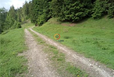 Teren de 1500 mp, în Central - 2