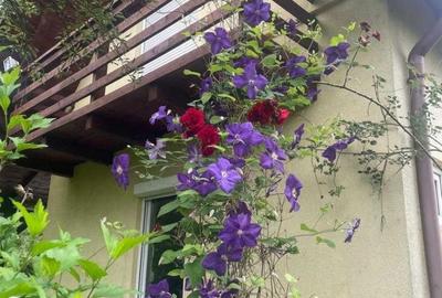 Spațiu comercial, în Rădaia - 4