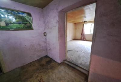RECO  casa batraneasca Salard - 15