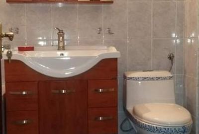 Apartament cu 2 camere în Cetate - 4