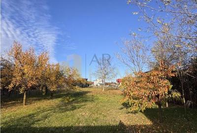 Teren intravilan, in Paulesti, Prahova - 11