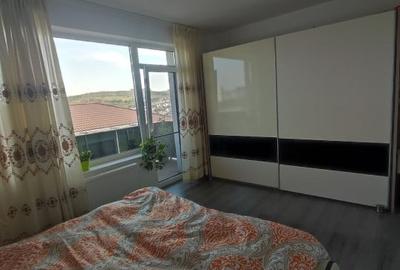 Apartament cu 2 camere, etaj intermediar, zona Borhanci - 3