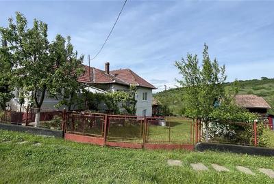 Casă individuală cu 4 camere cu Teren 2500 Mp în Ulieș - 6