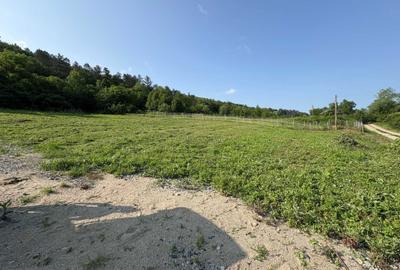 Spațiu comercial, în Iclozel - 2