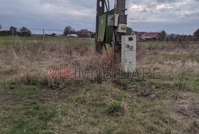 Teren de 95000 mp, în Cerneteaz - 12