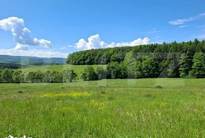 Teren de 600 mp, în Dumbrăvița - 1