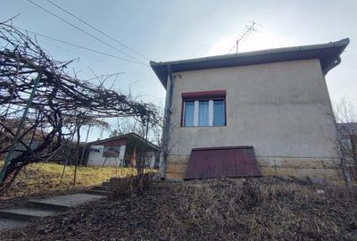 Vand teren cu casa in Gruia - 4