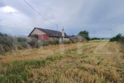 Teren de 6000 mp, în Turda - 5