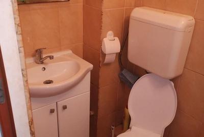 Garsoniera eleganta zona central Piata Mica - 7