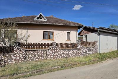 Casă cu 3 camere cu Teren 1060 Mp în Lunca (Băița) - 3