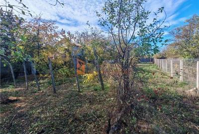 Teren intravilan 2500mp de vanzare in Zoresti, Buzau - 3