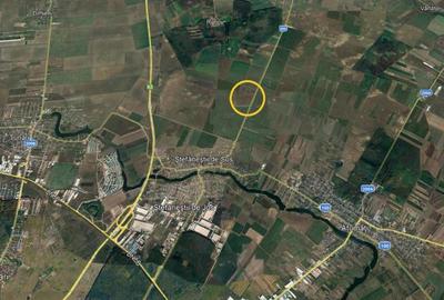 Teren de 25700 mp, în Ștefăneștii de Sus - 3