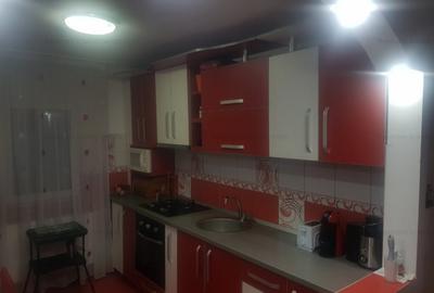 Apartament doua camere, renovat, la Narcisa - 7