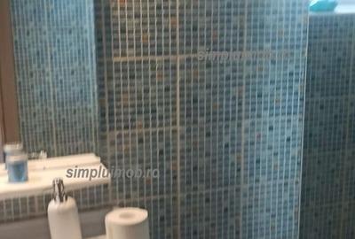 Apartament cu 3 camere decomandat, mobilat în P-ța Alba Iulia - 14