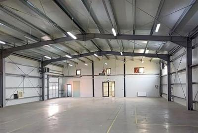 Hala moderna de vanzare,  Mosnita Noua - 5