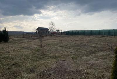 Spațiu comercial, în Curtești - 13