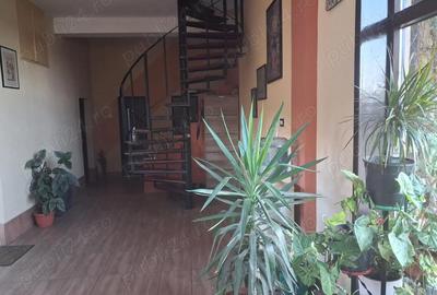 Casă cu 8 camere cu Teren 1000 Mp în Central - 10