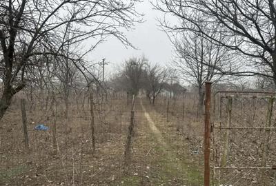 Teren de 1200 mp, în Coșoveni - 4