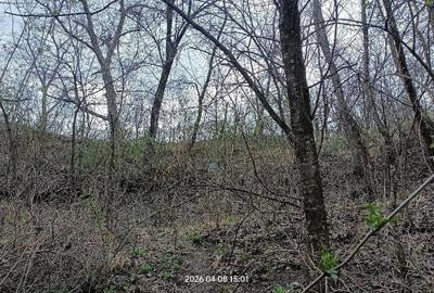 Casă cu 3 camere cu Teren 4660 Mp în Central