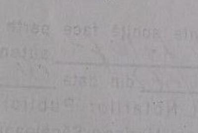 Teren Mamaia Nord - 1