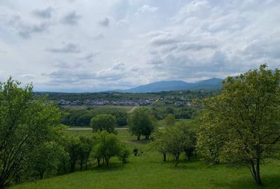 Teren Construcții intravilan de 3738 mp, în Cisnădioara - 13