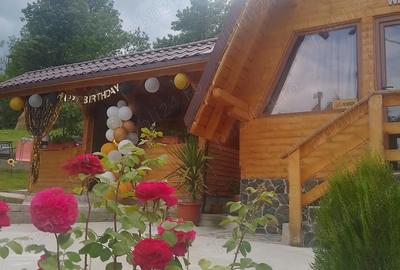 Casă cu Teren 1000 Mp în Vulcana de Sus - 2