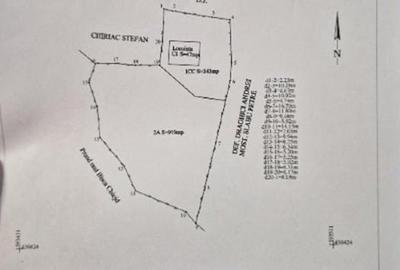 Teren intravilan de 1262 mp, în Bâsca Chiojdului - 5