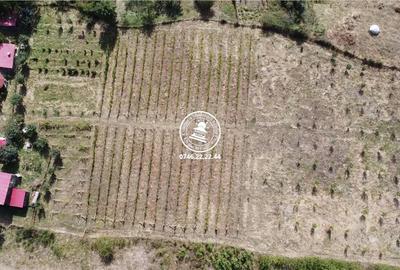 Teren de 6800 mp, în Mogoșești