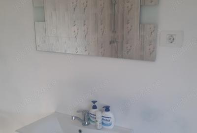 Vand casa caramida cu teren de 1750 mp - VISINA, OLT ! Mutare imediata ! - 2