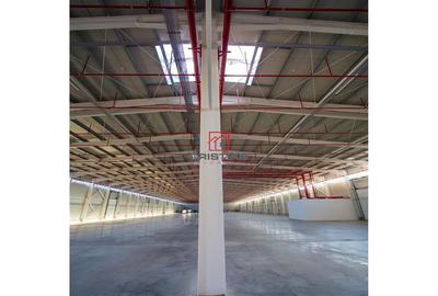 Spațiu comercial, de 4,400 mp, în Theodor Pallady