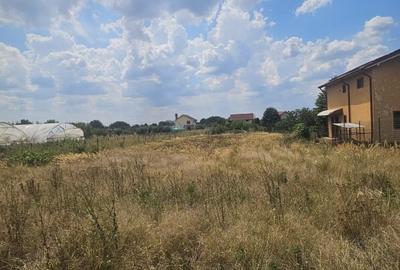 Teren Construcții intravilan de 1206 mp, în Malu Mare - 1