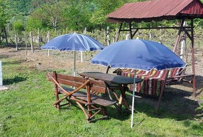 Casă cu Teren 1400 Mp în Mehadia - 4