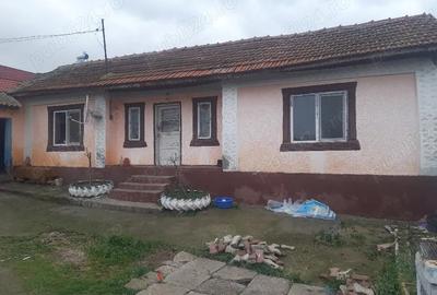 Casă în Grădina - 3