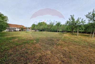 Casa cu teren 3100mp in Hidiselu de Sus - 6