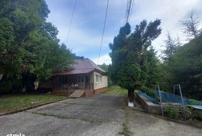 Casă cu 4 camere în Băița - 1