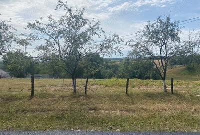 Casa Valea-tarnei sinteu - 5