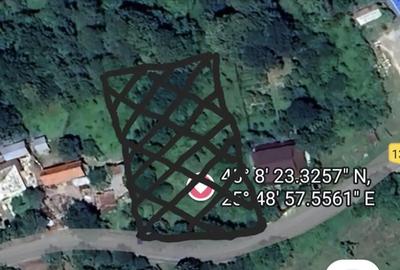 Teren de 2700 mp, în Telega - 3