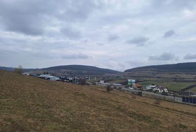 Spațiu comercial, în Sărădiș - 5