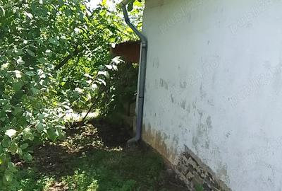 Teren de 6100 mp, în Cehal - 6