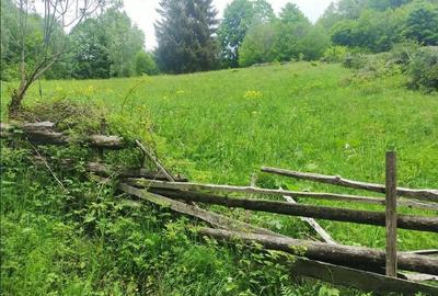 Teren de 4000 mp, în Muntele Băișorii - 4