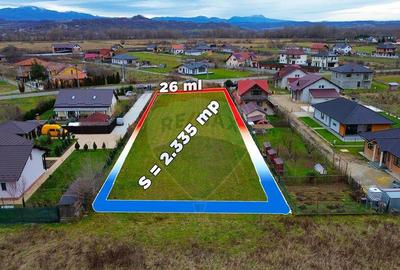 Teren de vanzare cu proiect de casa si piscina Sacala?... - 1